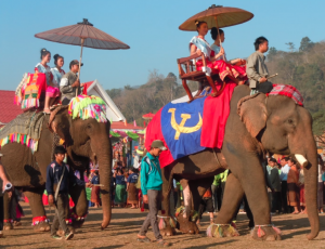 Lao Elephant